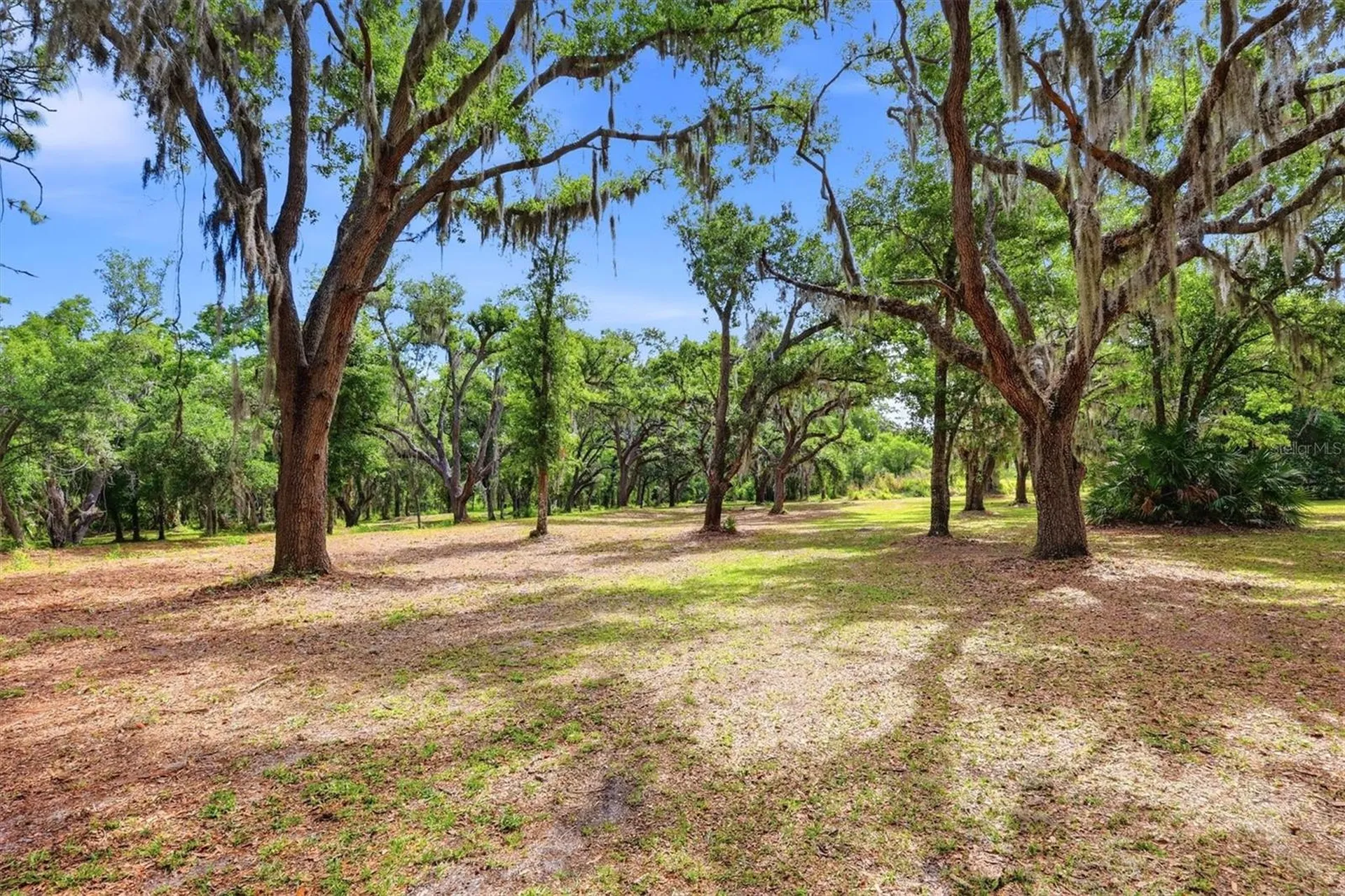 County Road 675 Myakka City FL 34251