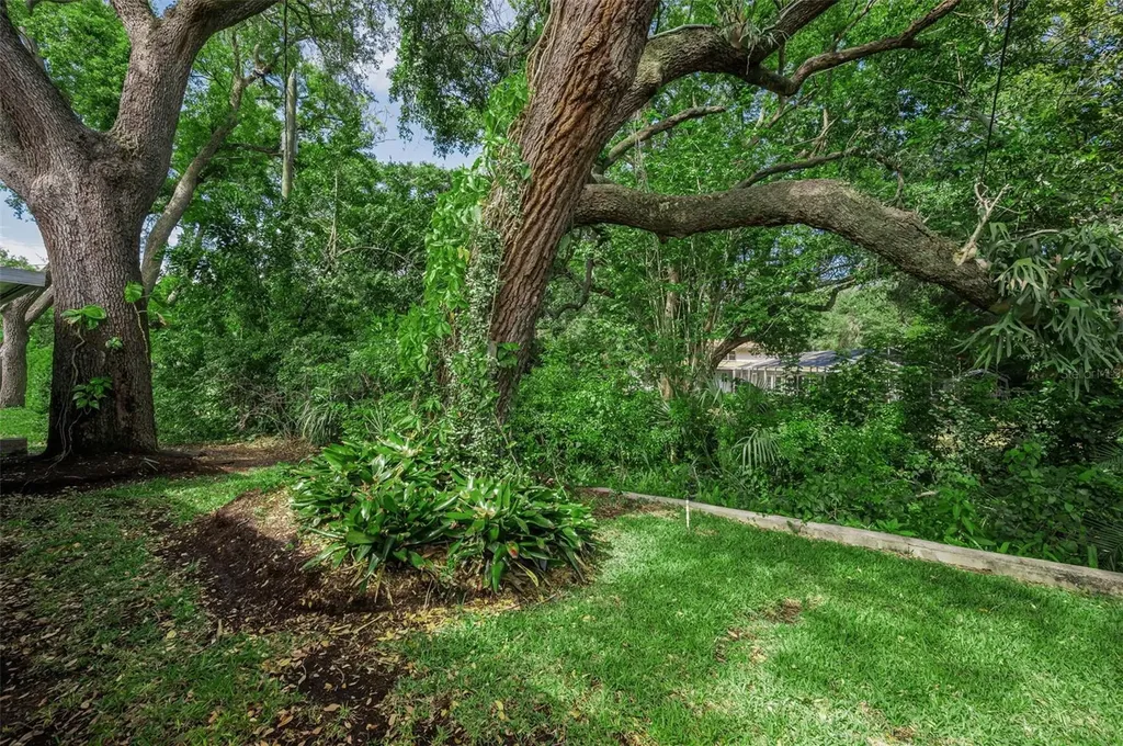 1368 Williams Drive Clearwater FL 33764
