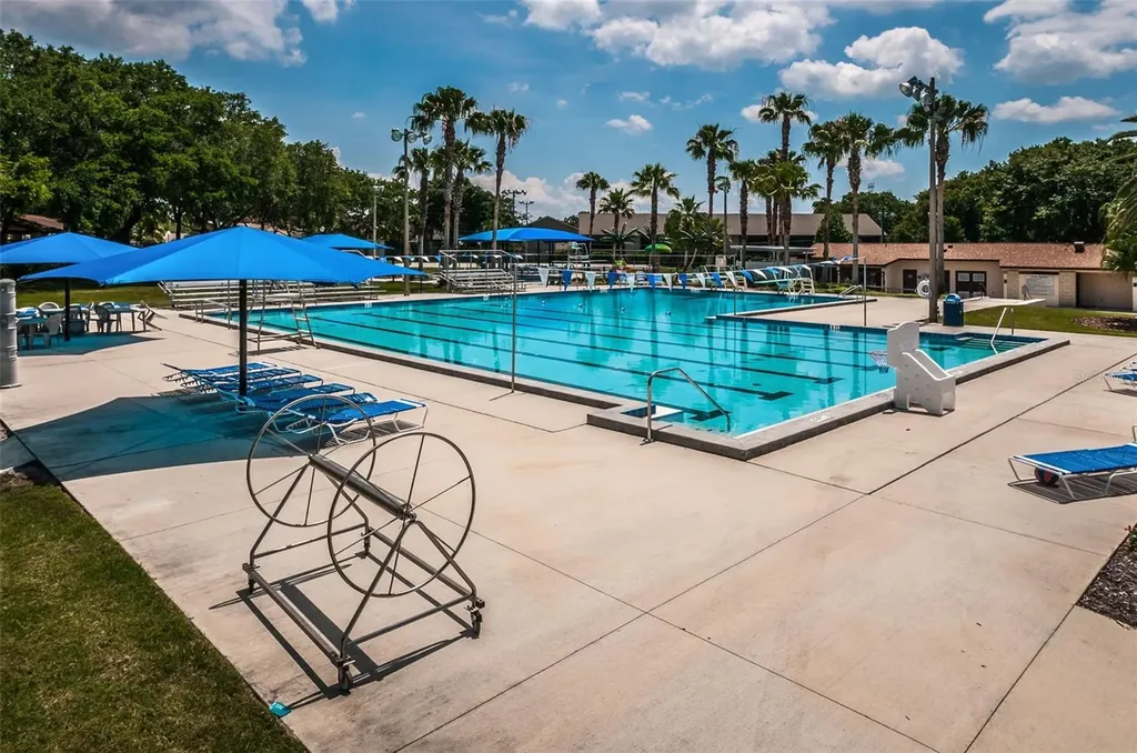 1368 Williams Drive Clearwater FL 33764