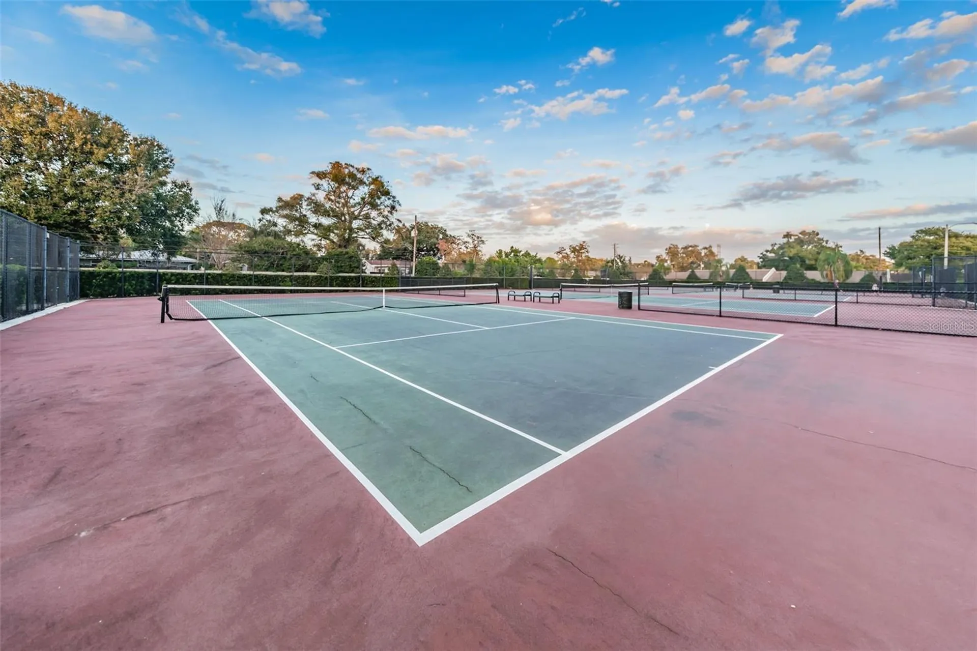 1368 Williams Drive Clearwater FL 33764