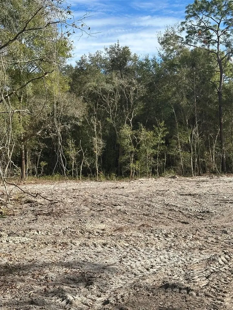 Berryhill Drive Webster FL 33597
