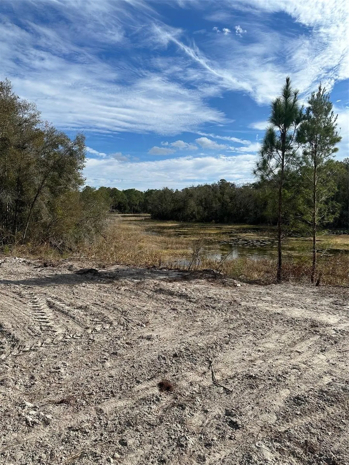 Berryhill Drive Webster FL 33597