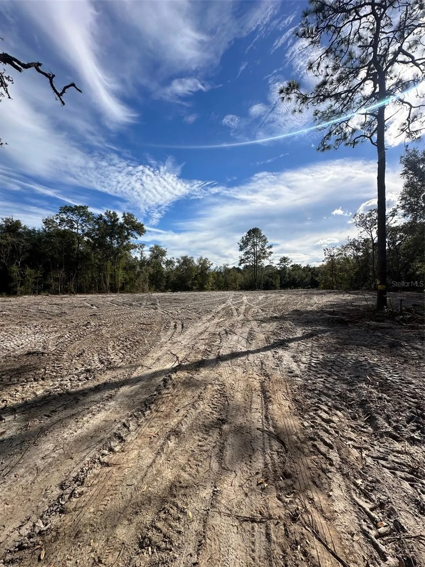 Berryhill Drive Webster FL 33597