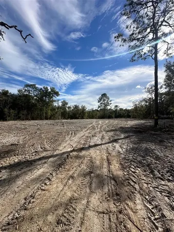 Berryhill Drive Webster FL 33597