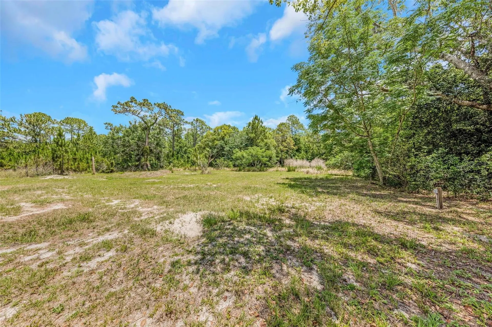 9224 Elza Street New Port Richey FL 34654