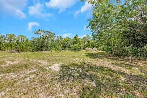 9224 Elza Street New Port Richey FL 34654