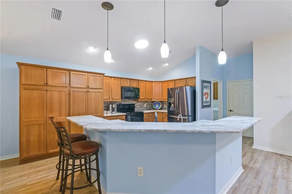 1148 Allaire Loop The Villages FL 32163