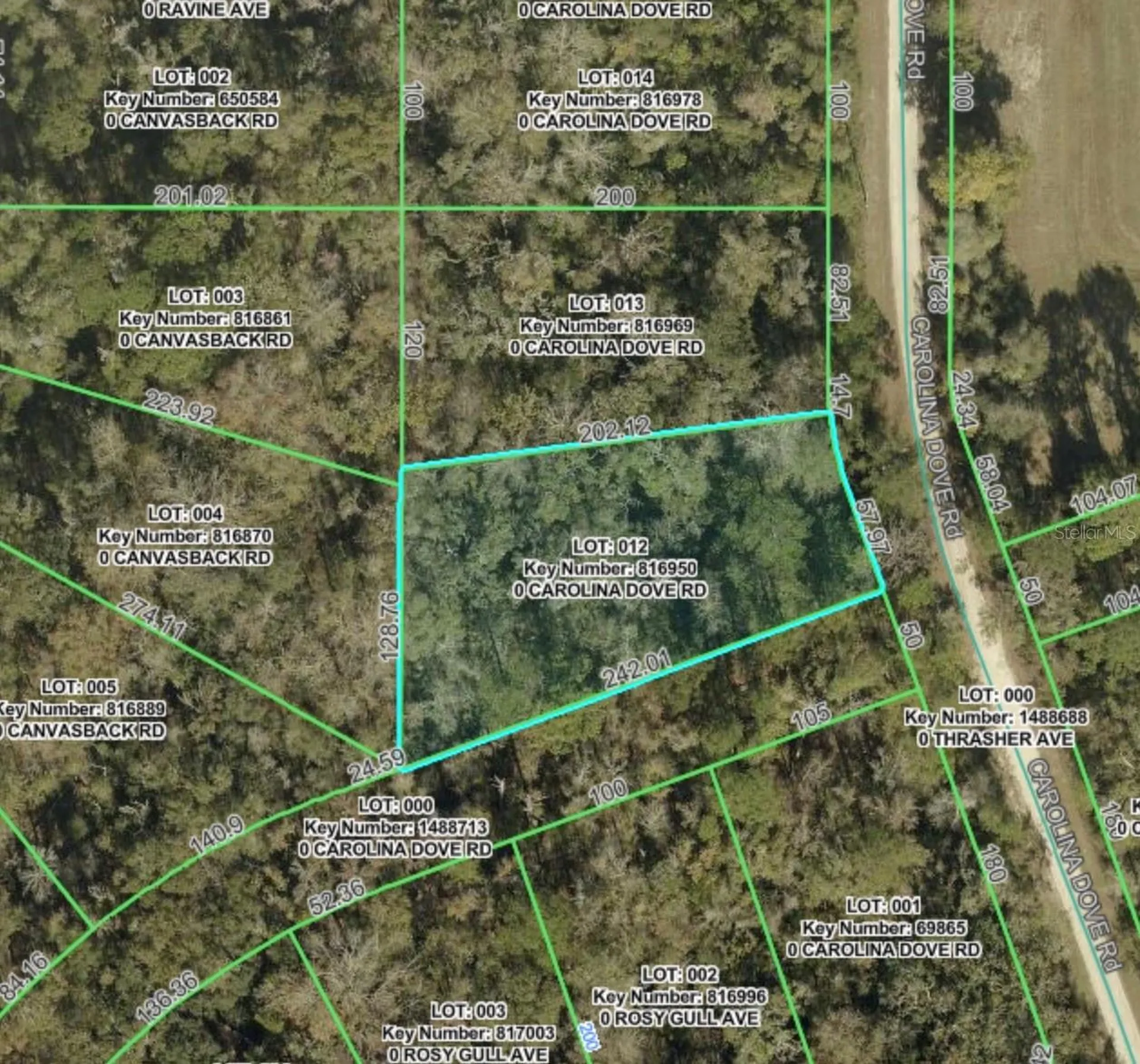 Lot 12 Carolina Dove Road Brooksville FL 34614