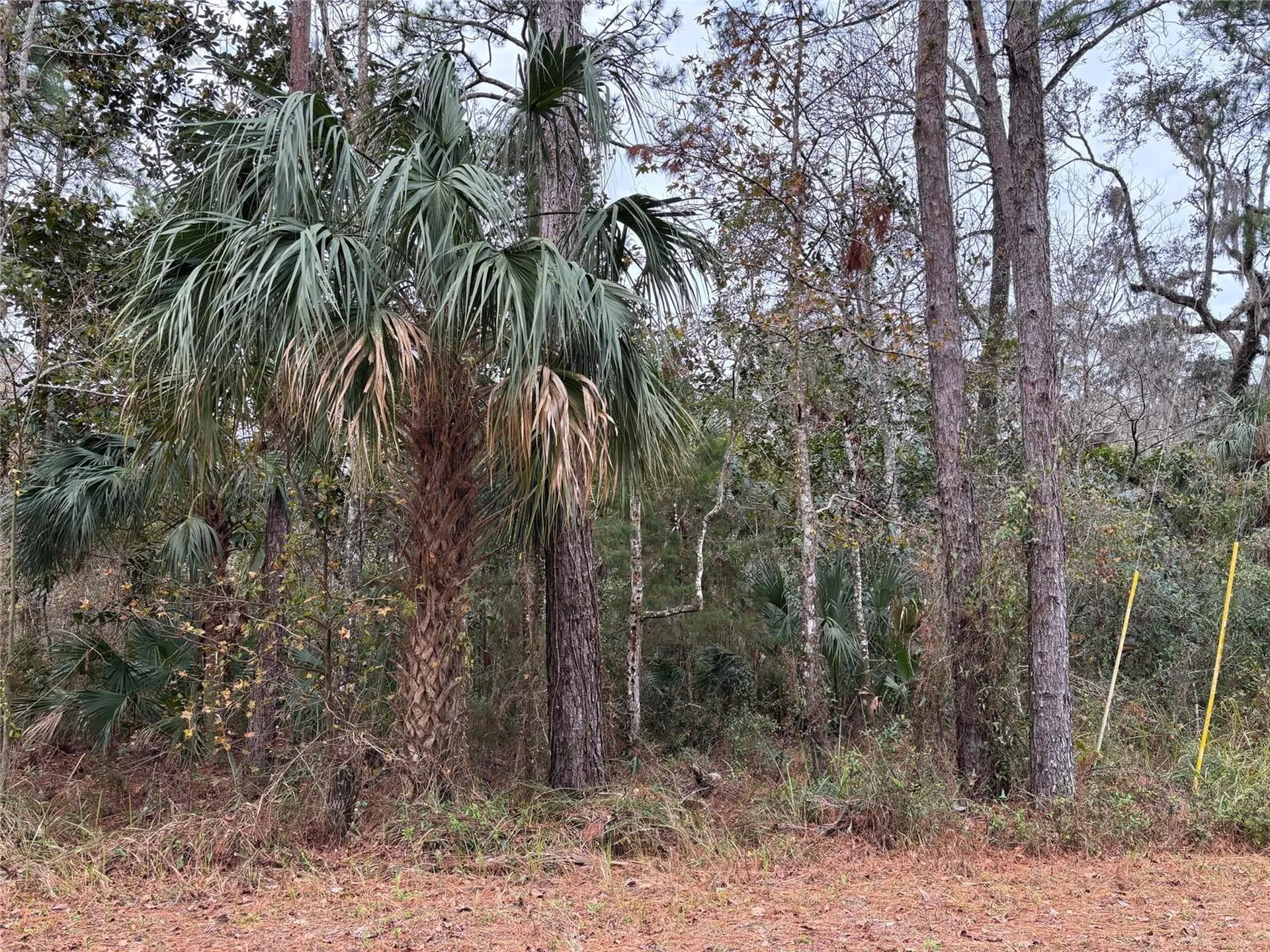 Lot 12 Carolina Dove Road Brooksville FL 34614