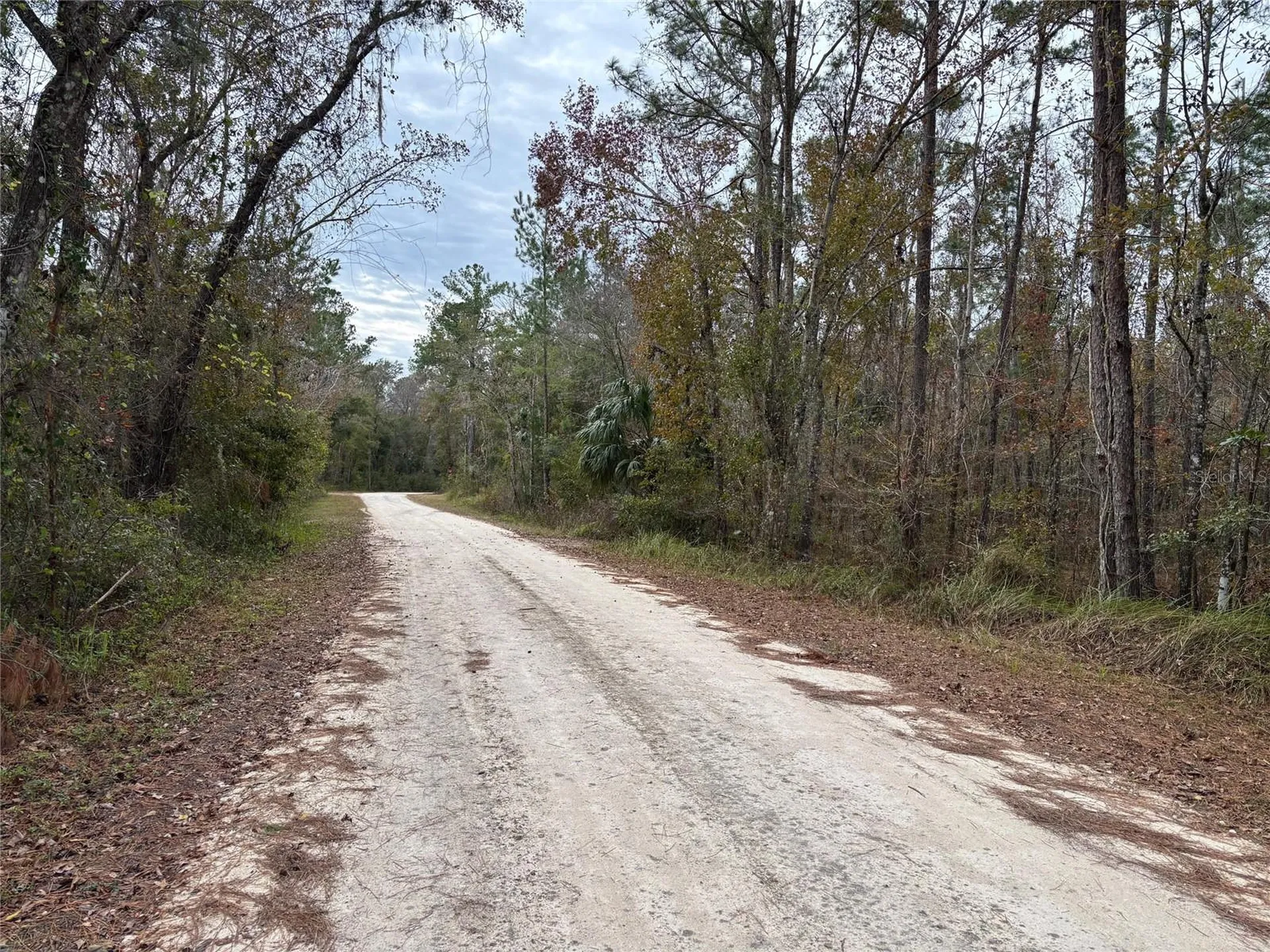 Lot 12 Carolina Dove Road Brooksville FL 34614