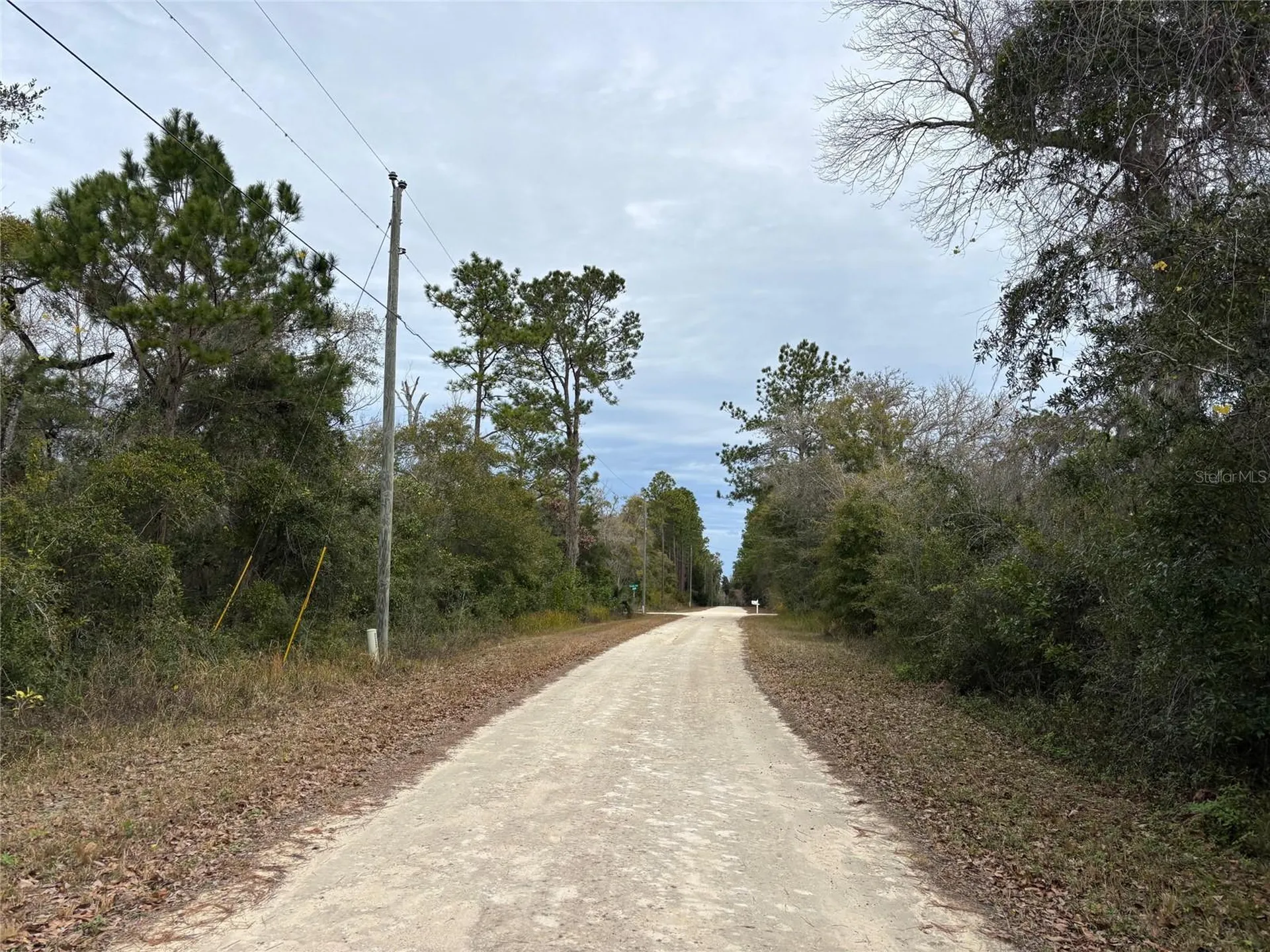 Lot 12 Carolina Dove Road Brooksville FL 34614