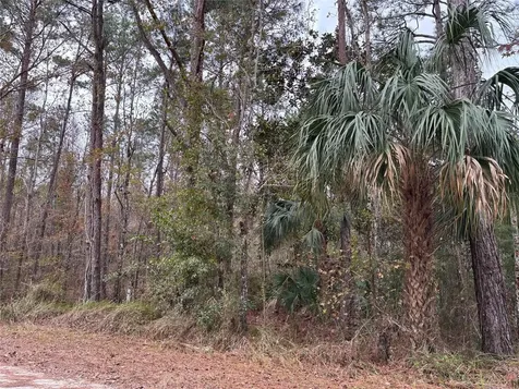Lot 12 Carolina Dove Road Brooksville FL 34614