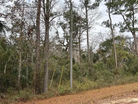 Lot 12 Carolina Dove Road Brooksville FL 34614