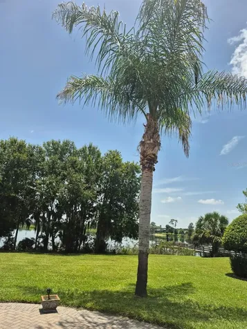 389 Nolane Lane Polk City FL 33868
