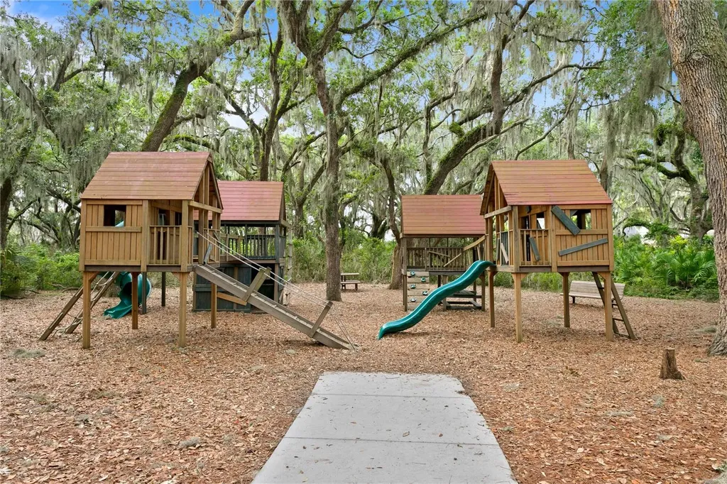 16018 Loneoak View Drive Lithia FL 33547