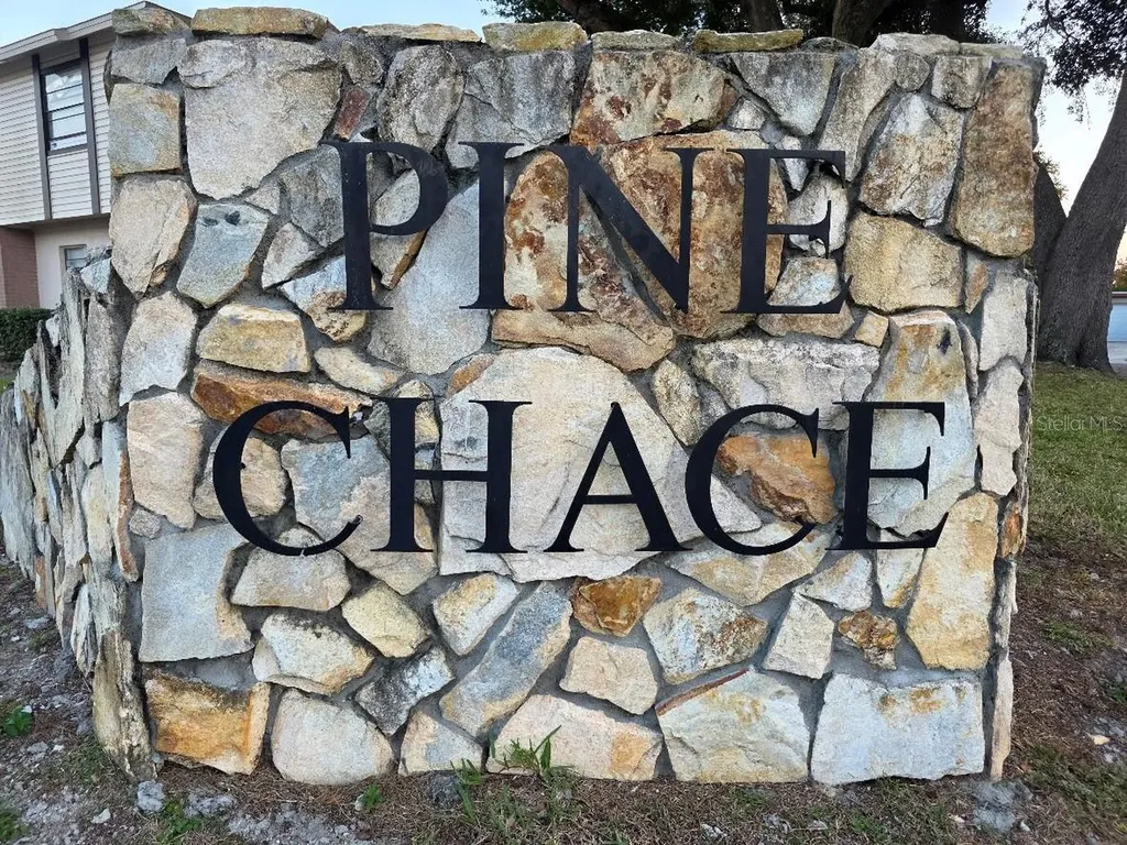 2031 Pine Chace Court Tampa FL 33613