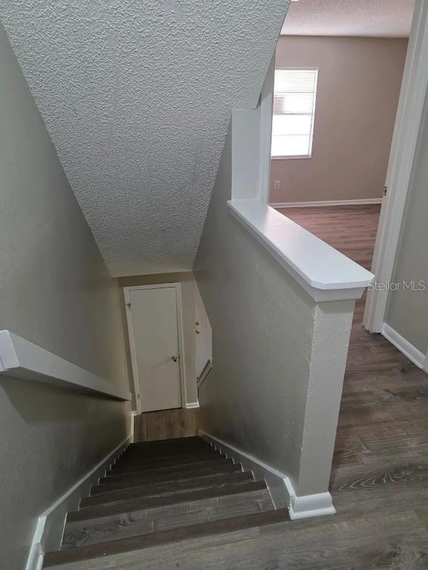 2031 Pine Chace Court Tampa FL 33613