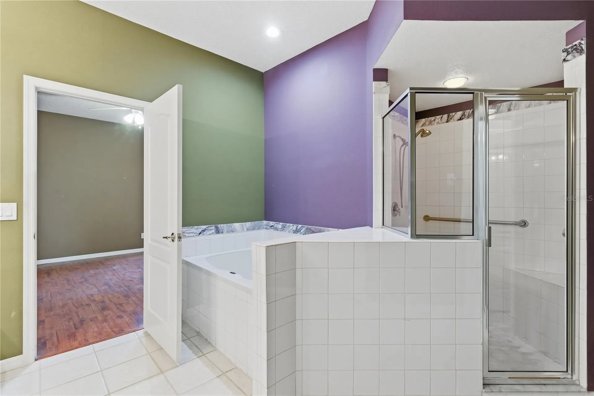30442 Lettingwell Circle Wesley Chapel FL 33543