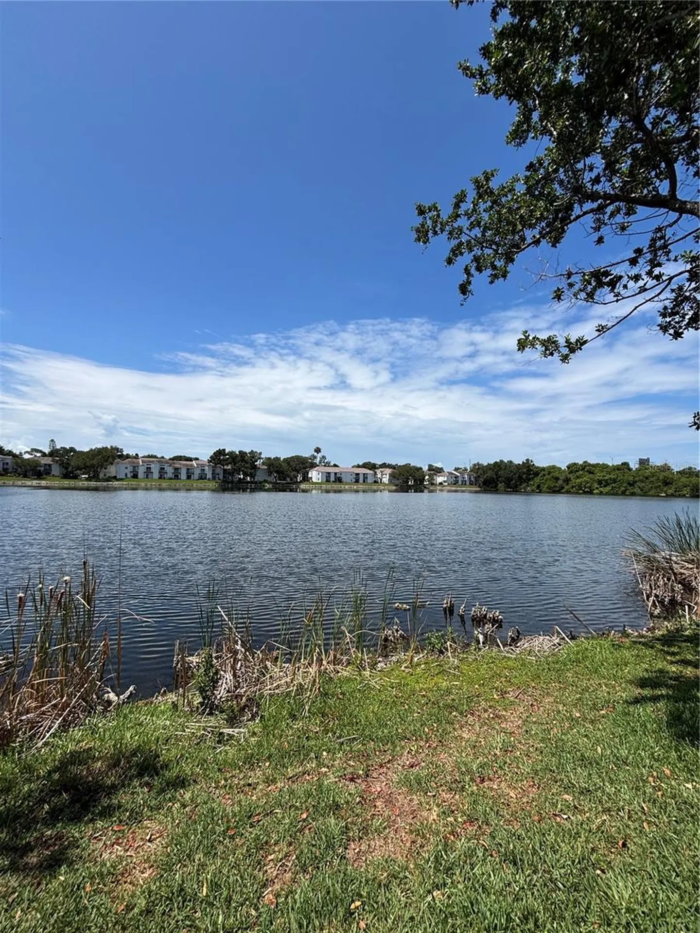 3231 Nautical Place S St Petersburg FL 33714