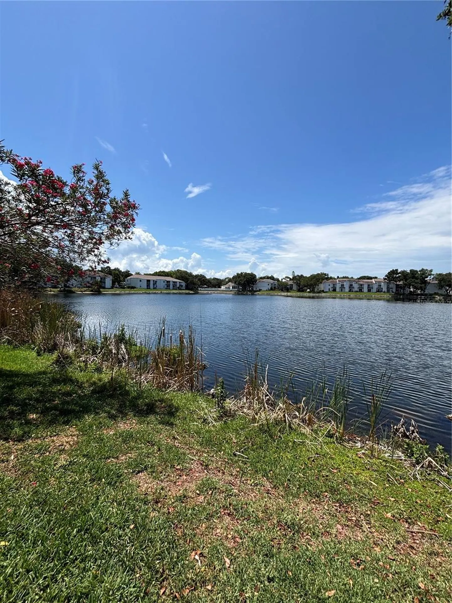 3231 Nautical Place S St Petersburg FL 33714