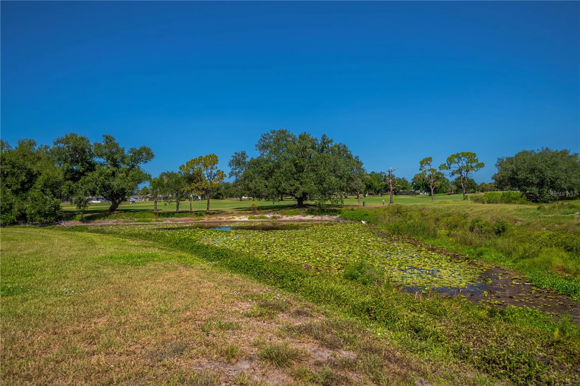 1009 Squaw Valley Court Venice FL 34293