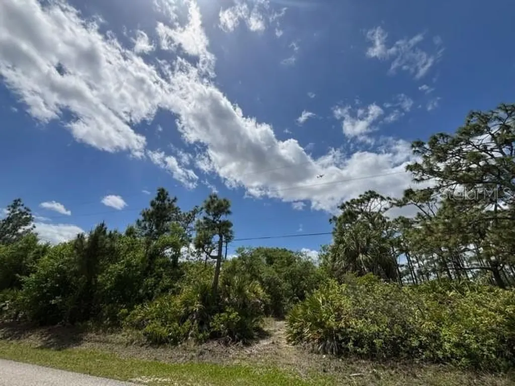 29305 Hazelwood Drive Punta Gorda FL 33982