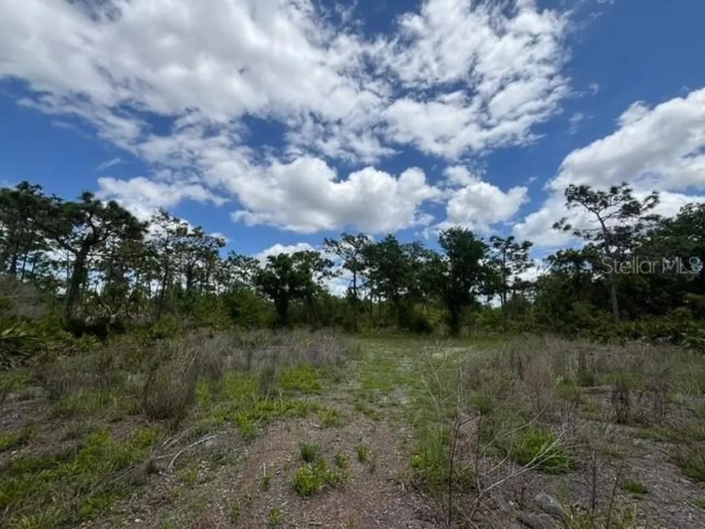 29305 Hazelwood Drive Punta Gorda FL 33982