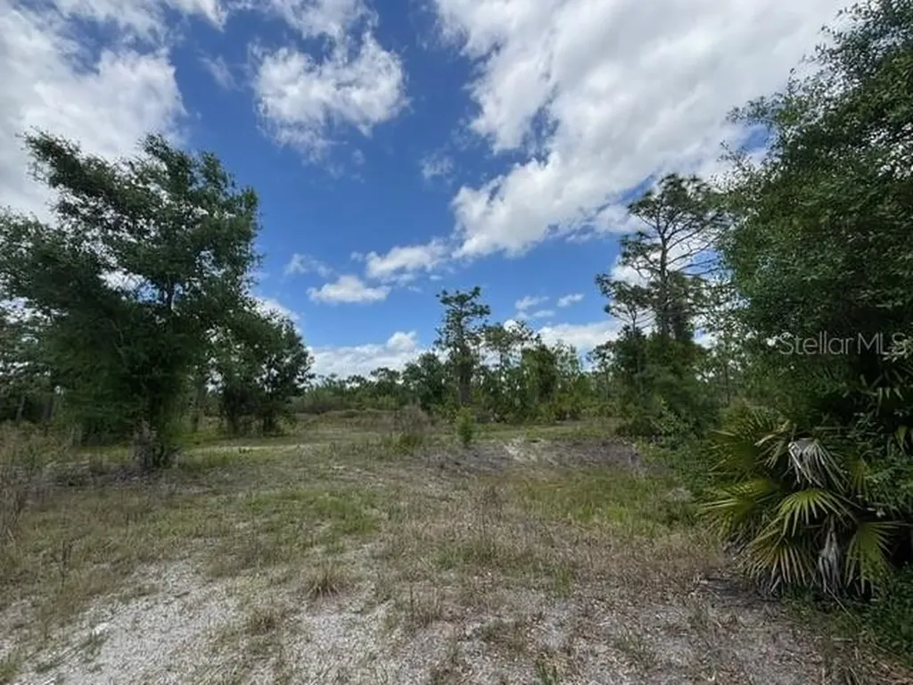 29305 Hazelwood Drive Punta Gorda FL 33982