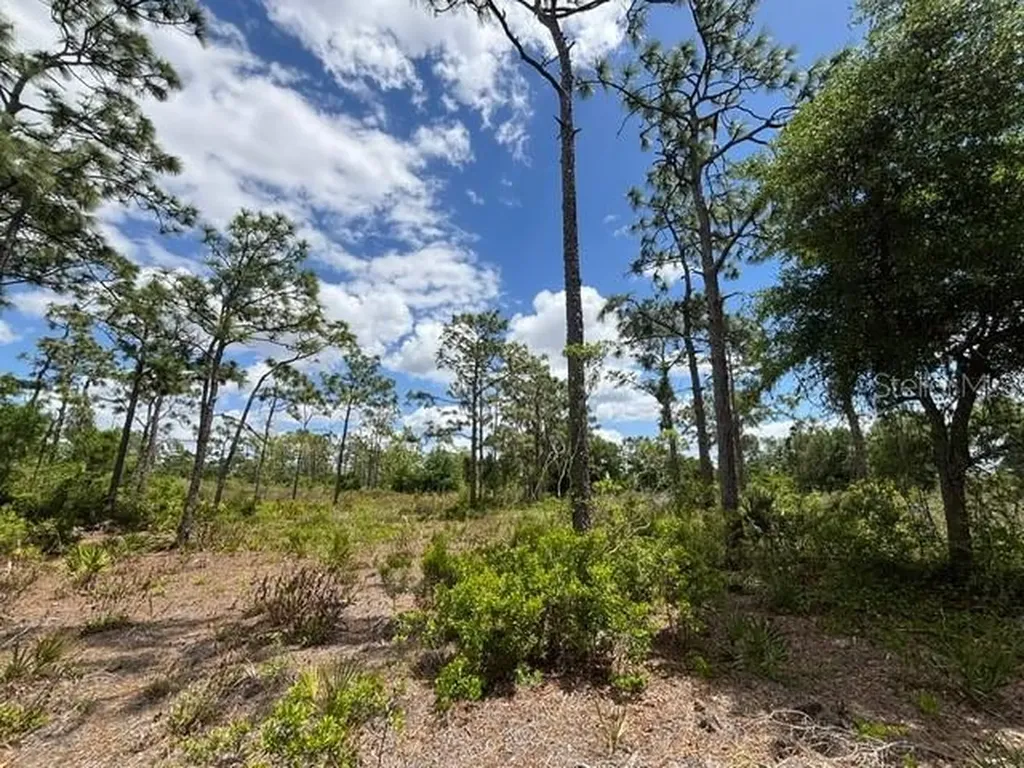 29305 Hazelwood Drive Punta Gorda FL 33982
