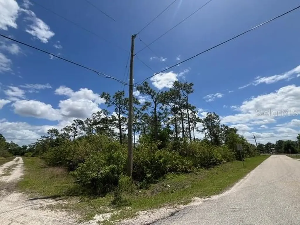 29305 Hazelwood Drive Punta Gorda FL 33982