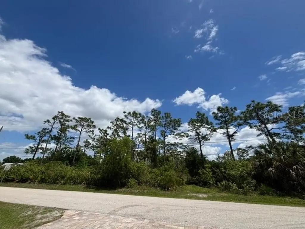 29305 Hazelwood Drive Punta Gorda FL 33982