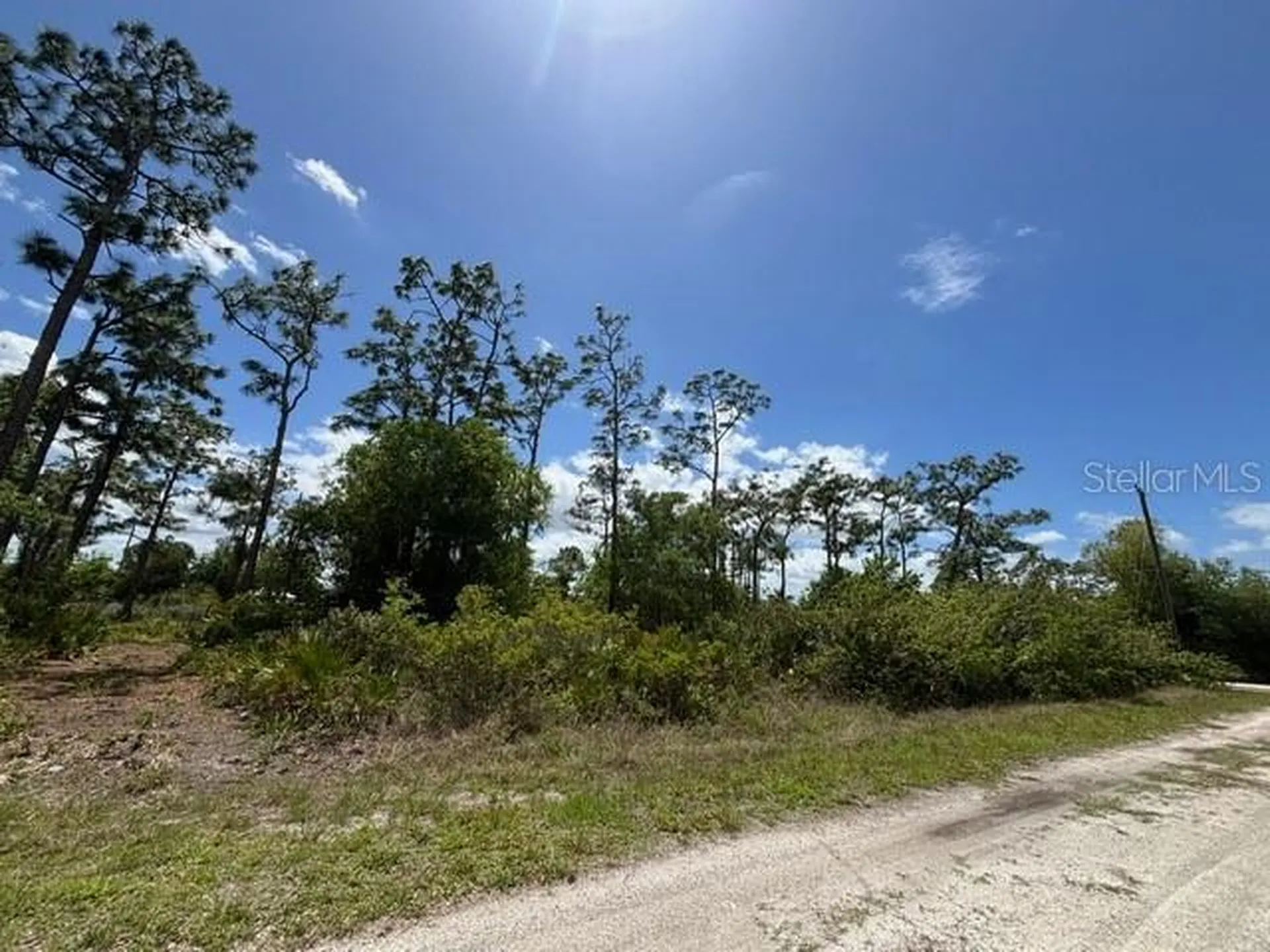 29305 Hazelwood Drive Punta Gorda FL 33982