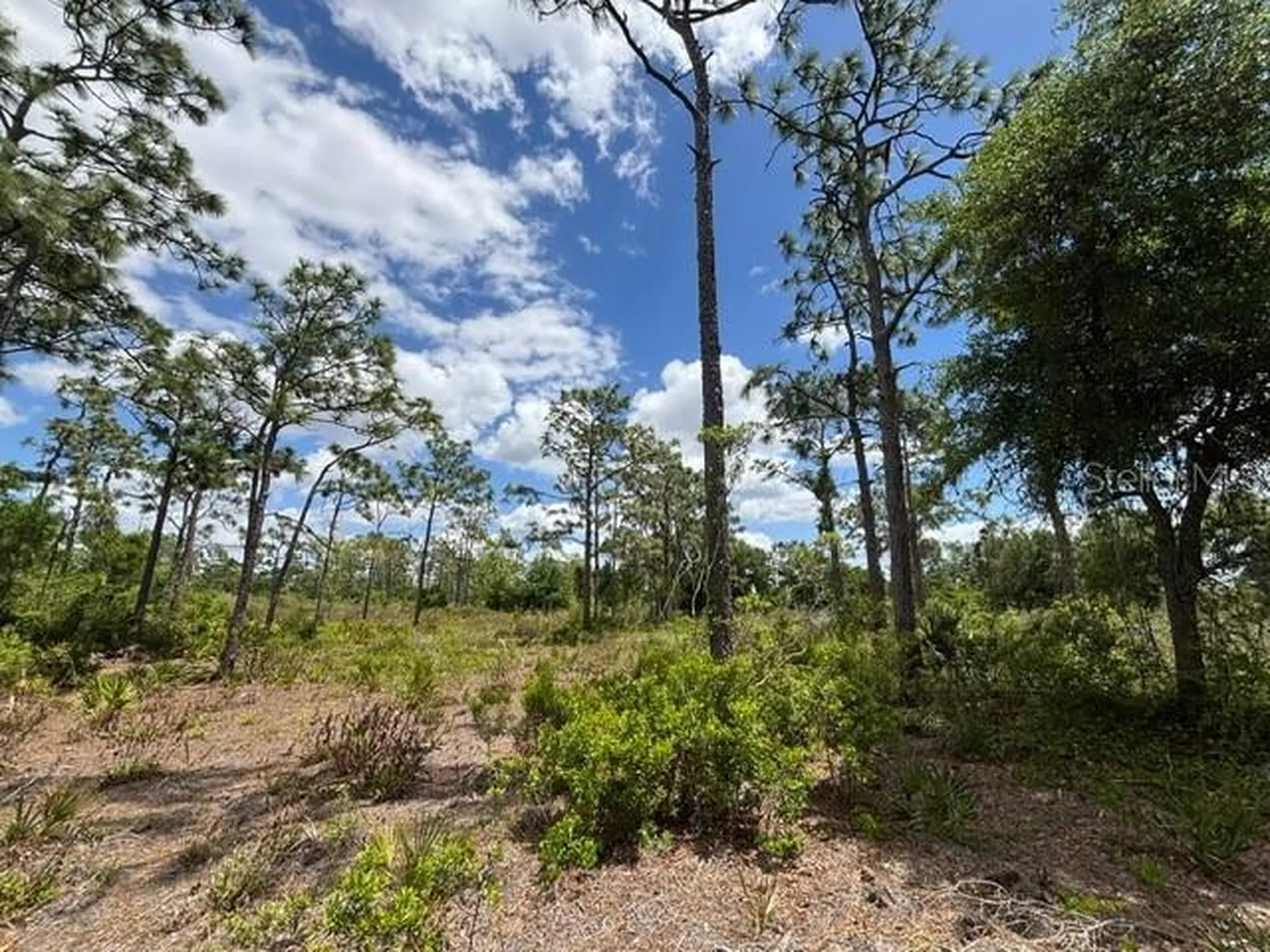 29305 Hazelwood Drive Punta Gorda FL 33982