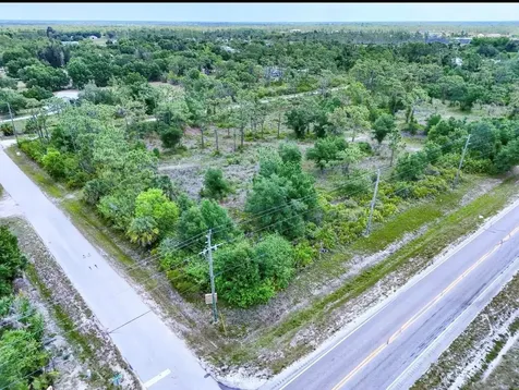 29305 Hazelwood Drive Punta Gorda FL 33982