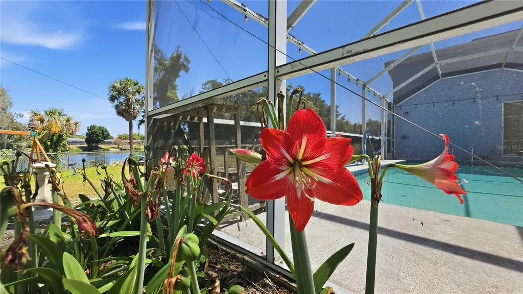 7203 Bramblewood Drive Port Richey FL 34668