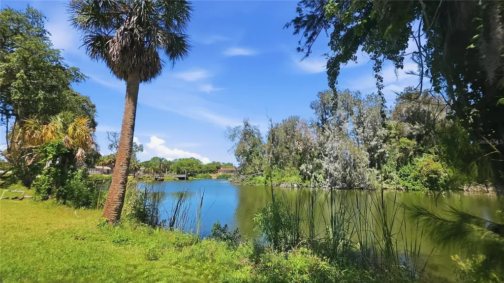 7203 Bramblewood Drive Port Richey FL 34668