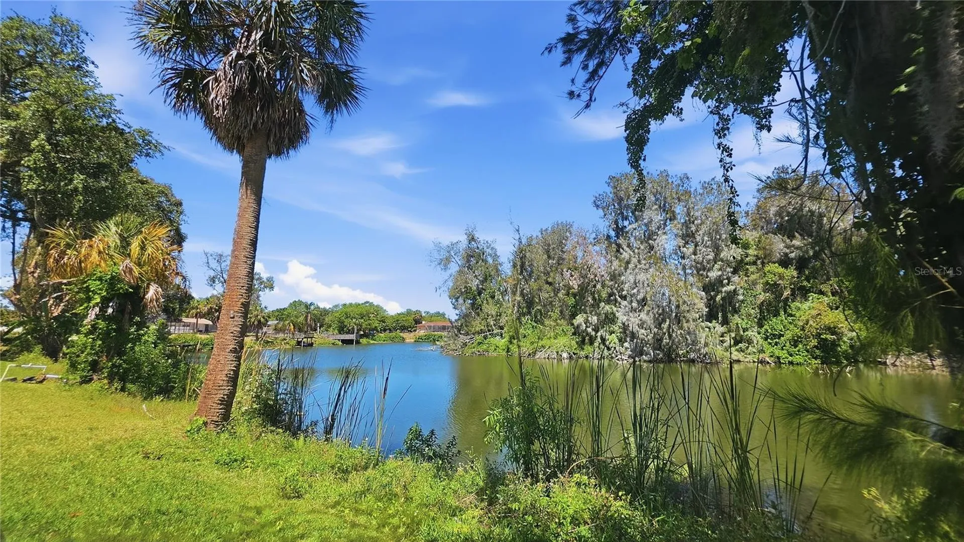 7203 Bramblewood Drive Port Richey FL 34668