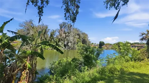 7203 Bramblewood Drive Port Richey FL 34668