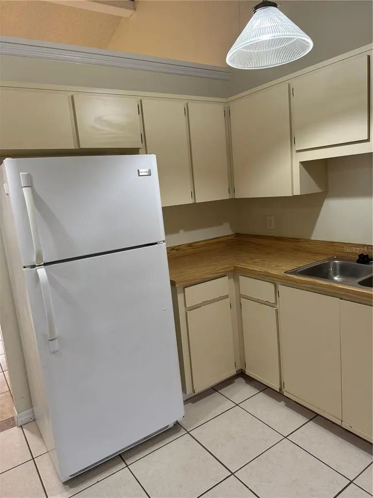 407 Douglas Way Winter Garden FL 34787