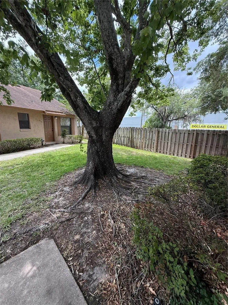 407 Douglas Way Winter Garden FL 34787
