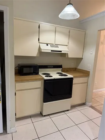 407 Douglas Way Winter Garden FL 34787