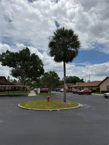 407 Douglas Way Winter Garden FL 34787
