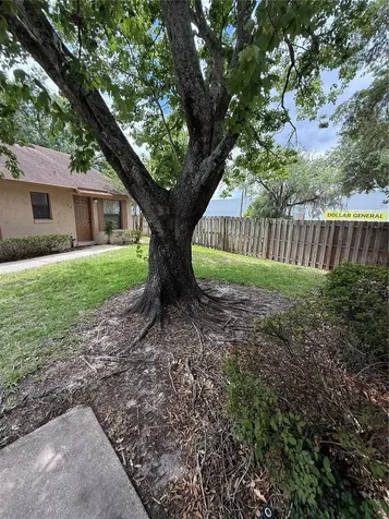 407 Douglas Way Winter Garden FL 34787