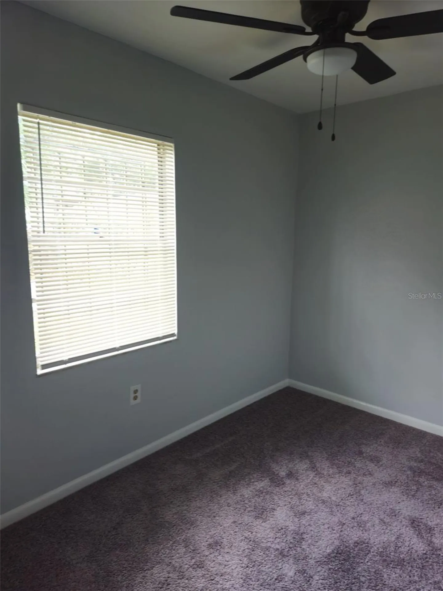 3411 E Frierson Avenue Tampa FL 33610