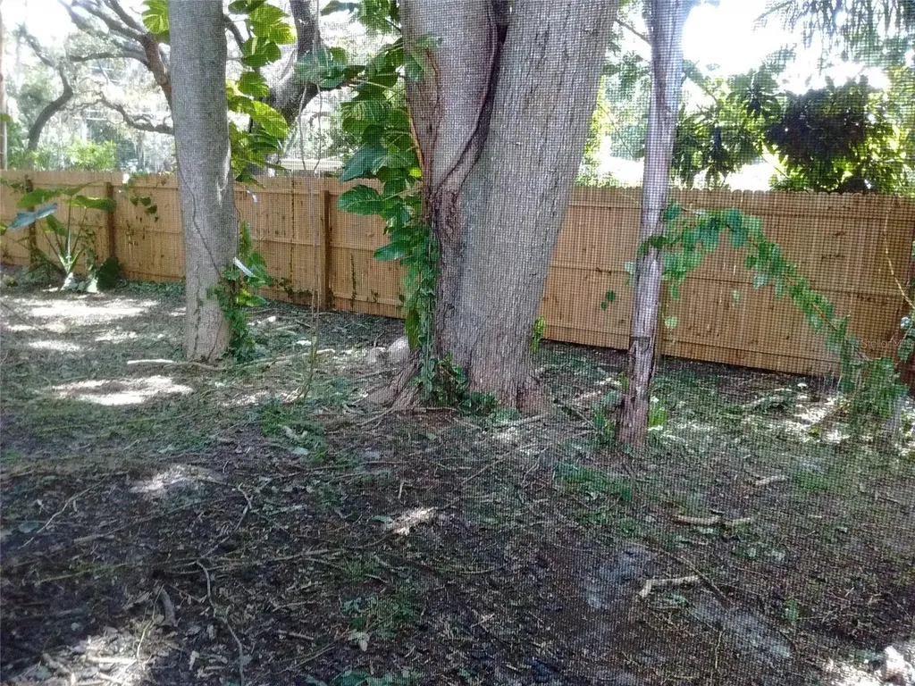 4033 Anna Drive Apopka FL 32703