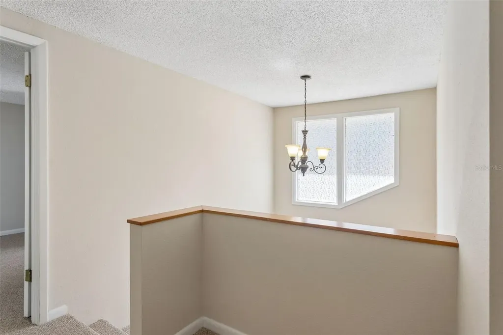 3103 Taragrove Drive Tampa FL 33618