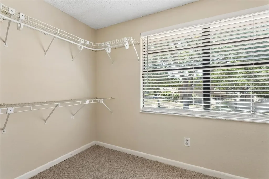3103 Taragrove Drive Tampa FL 33618