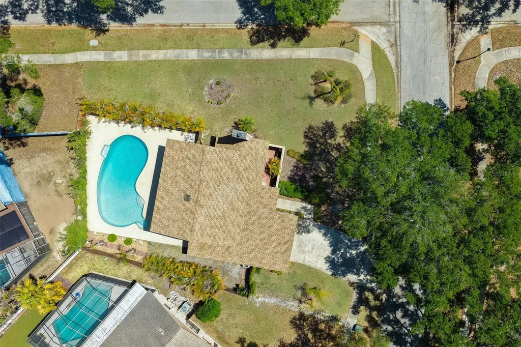 3103 Taragrove Drive Tampa FL 33618