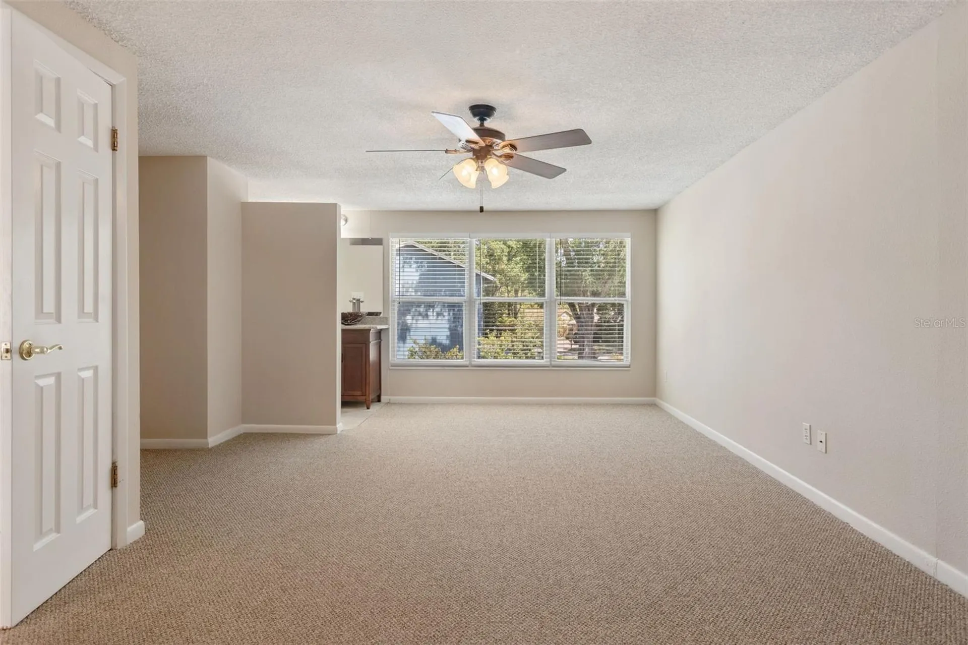 3103 Taragrove Drive Tampa FL 33618