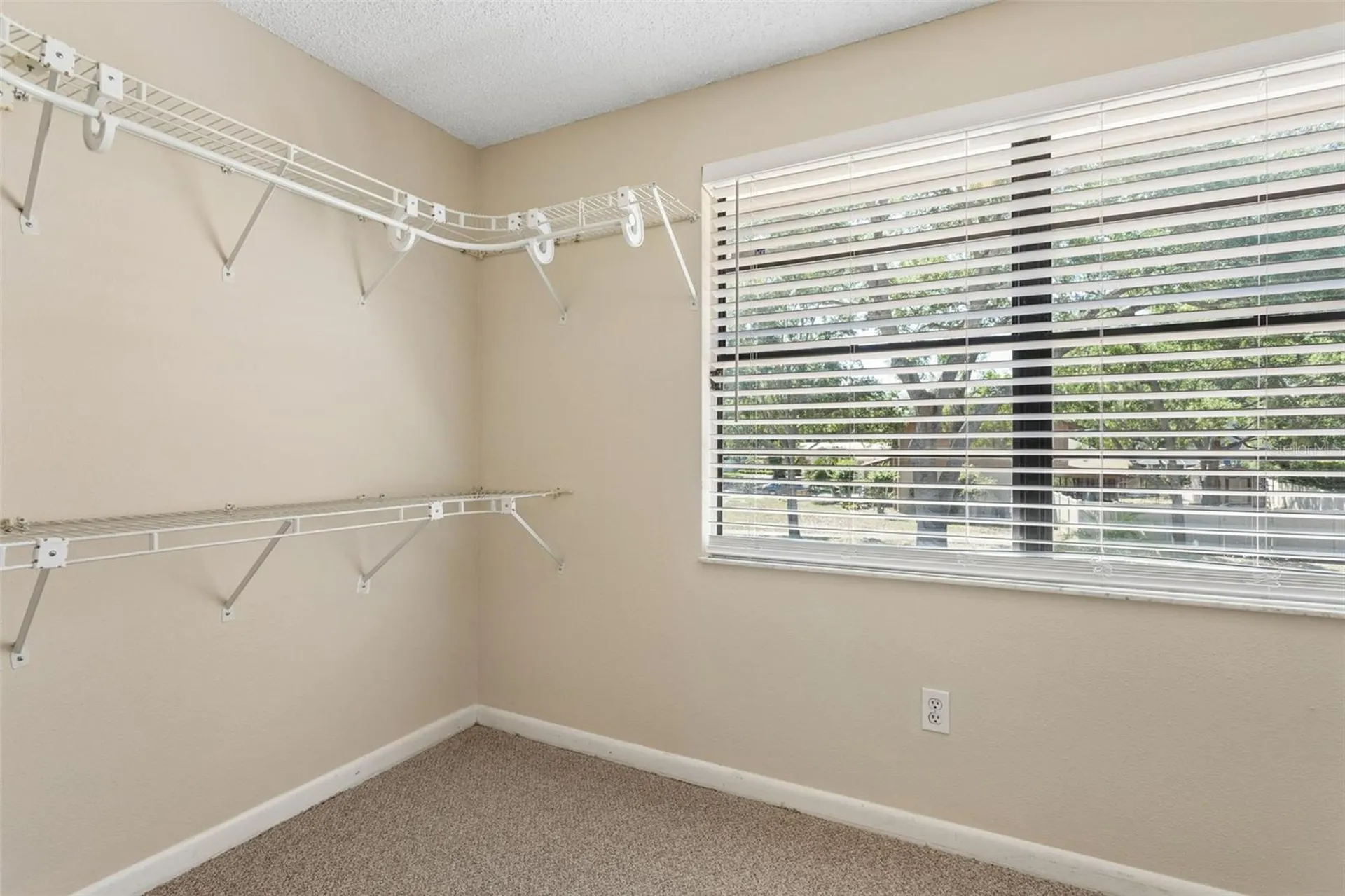 3103 Taragrove Drive Tampa FL 33618